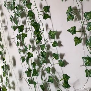 Meet your Posher, Nellie